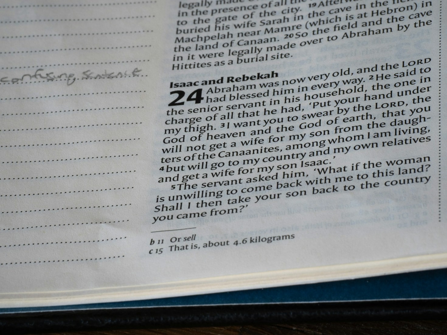 The Beauty of Everyday Moments